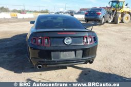 
										Ford Mustang GT CS 5.0 2013 full									