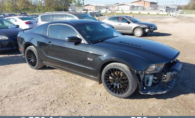 
								Ford Mustang GT CS 5.0 2013 full									