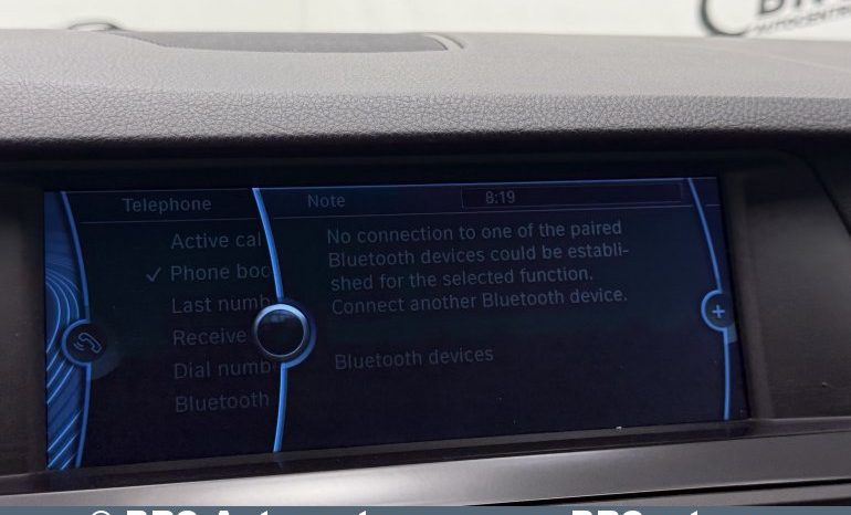 
								BMW 525 d Xdrive Automatas 2012 full									