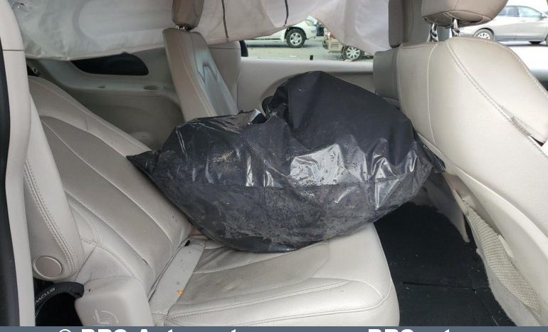 
								Chrysler Pacifica 3.6 V6 Automatas 2021 full									