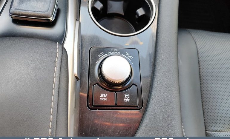 
								Lexus RX 450h Hybrid E-Four e-CVT 2016 full									